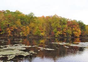 flights from sault ste marie to chicago|$294 CHEAP FLIGHTS from Sault Ste. Marie to Chicago Midway .